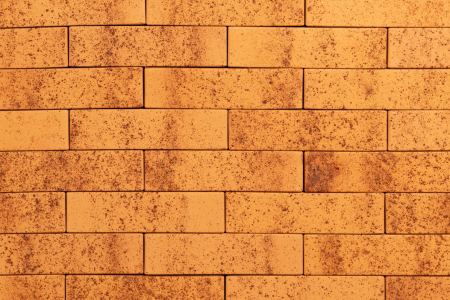 Тайга морошка 1нф