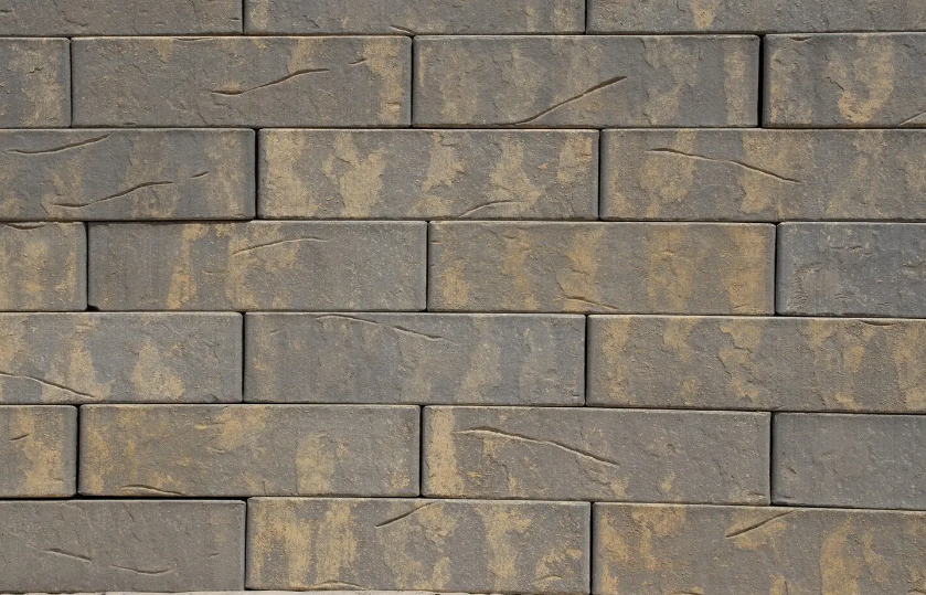 Кротовский Альфар 1НФ