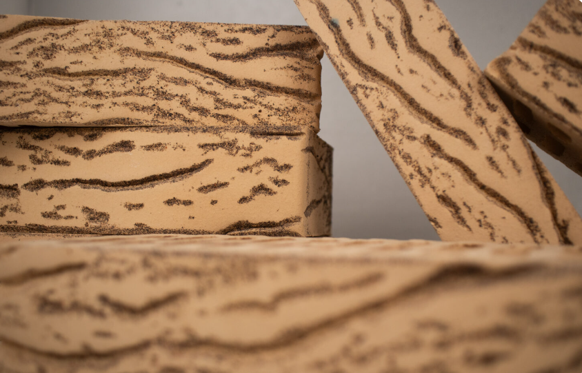 Кротовский Кения